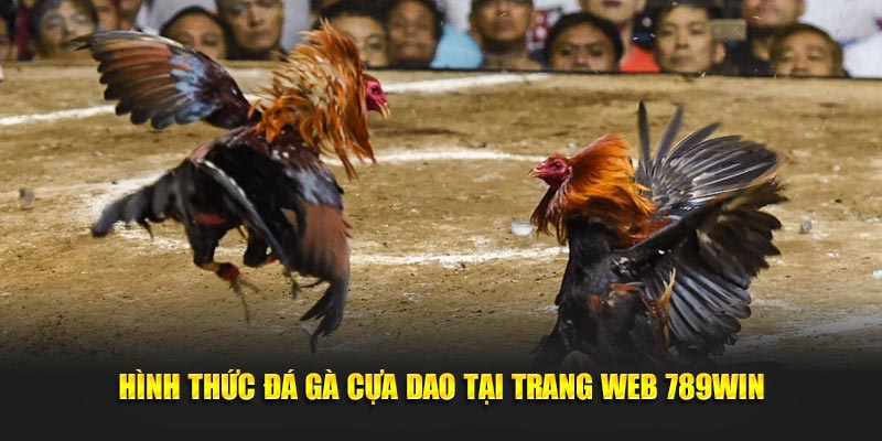 Hình thức đá gà cựa dao tại trang web 789WIN